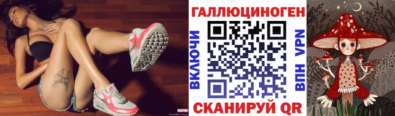 Купить  Дмитров  Псилоцибиновые грибы Psilocybine cubensis 
