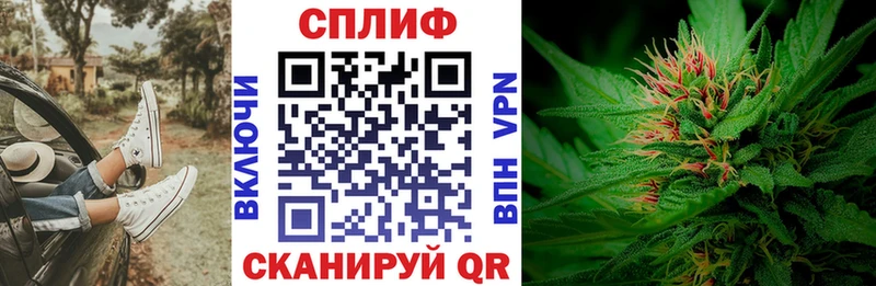 Купить закладки  Дмитров  Бошки Шишки тримм 